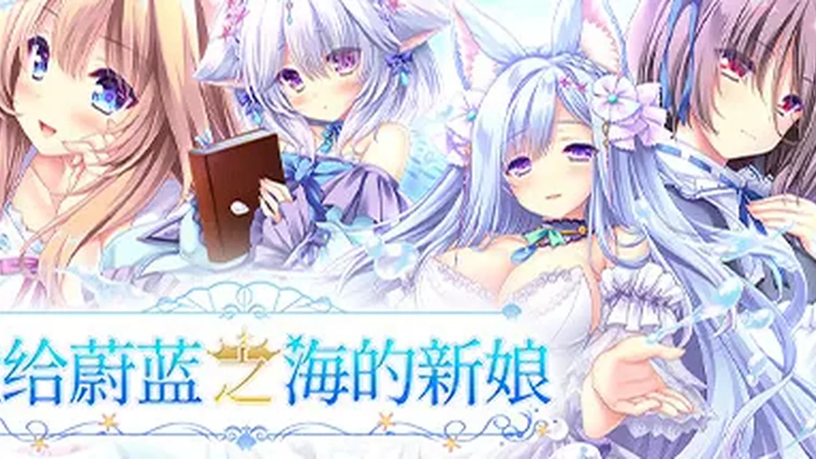 献给蔚蓝之海的新娘媒体参考 4